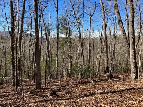 Lot 31 High Ridge Road Murphy NC 28906