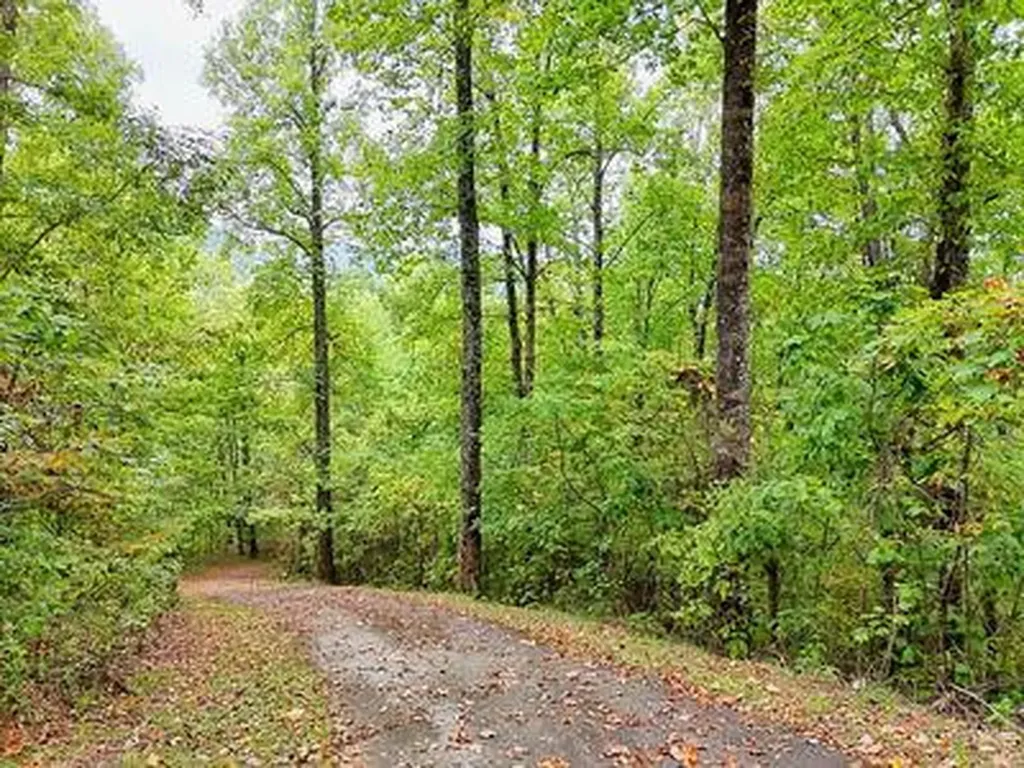 Lot 1 Skyview Drive Hayesville NC 28904