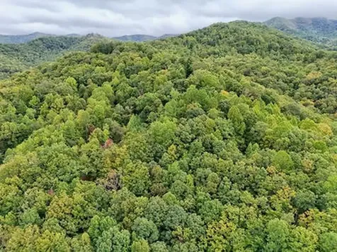 Lot 1 Skyview Drive Hayesville NC 28904