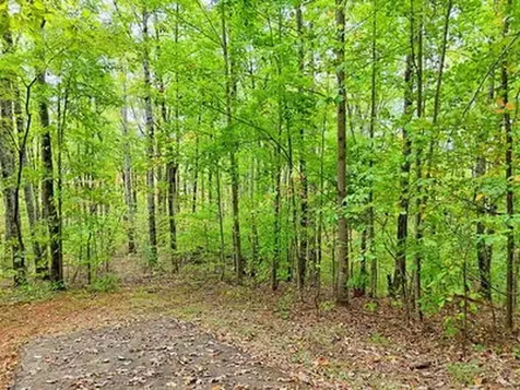 Lot 1 Skyview Drive Hayesville NC 28904