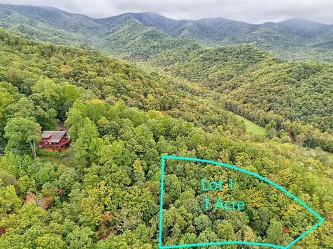 Lot 1 Skyview Drive Hayesville NC 28904