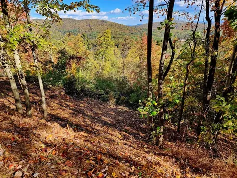 674 Warbler Road Murphy NC 28906