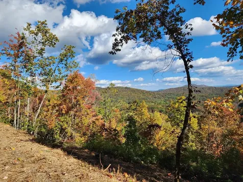 674 Warbler Road Murphy NC 28906