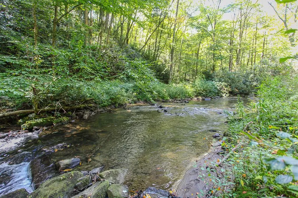 9765 Little Snowbird Road Robbinsville NC 28771