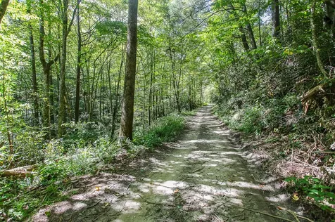9765 Little Snowbird Road Robbinsville NC 28771