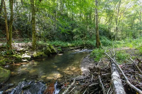 9765 Little Snowbird Road Robbinsville NC 28771