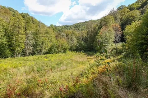 9765 Little Snowbird Road Robbinsville NC 28771