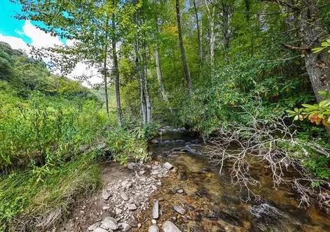 9765 Little Snowbird Road Robbinsville NC 28771