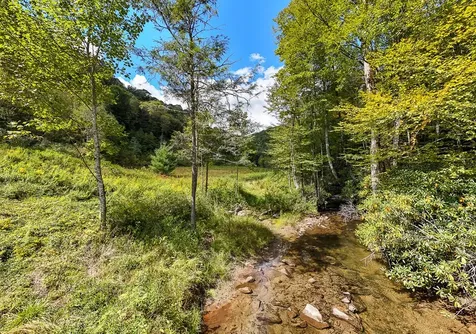 9765 Little Snowbird Road Robbinsville NC 28771