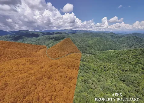 9765 Little Snowbird Road Robbinsville NC 28771