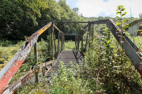 9765 Little Snowbird Road Robbinsville NC 28771