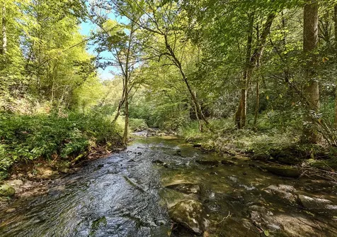 9765 Little Snowbird Road Robbinsville NC 28771