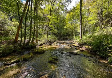 9765 Little Snowbird Road Robbinsville NC 28771