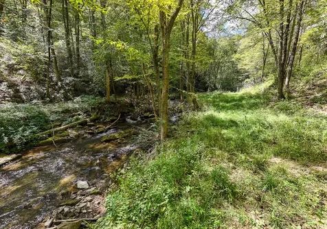 9765 Little Snowbird Road Robbinsville NC 28771