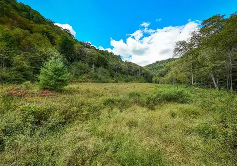 9765 Little Snowbird Road Robbinsville NC 28771
