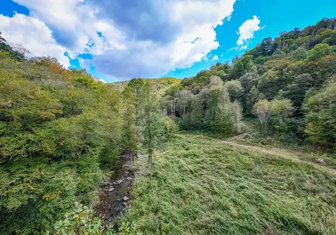9765 Little Snowbird Road Robbinsville NC 28771