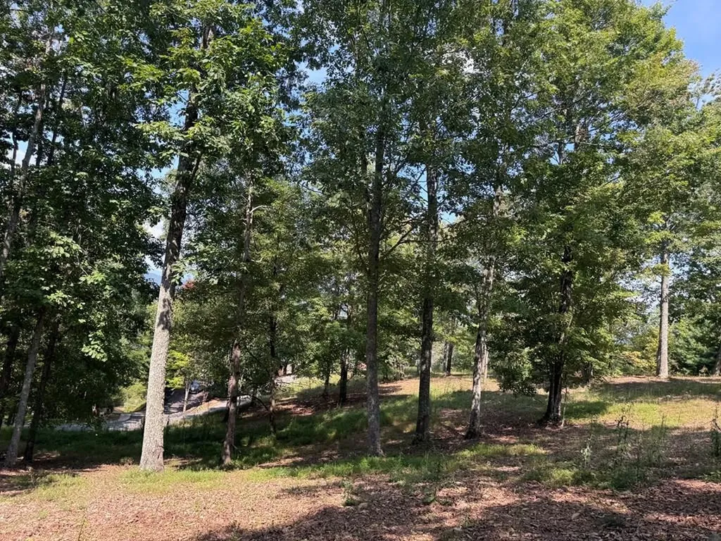 0 Madison Lane Brasstown NC 28902