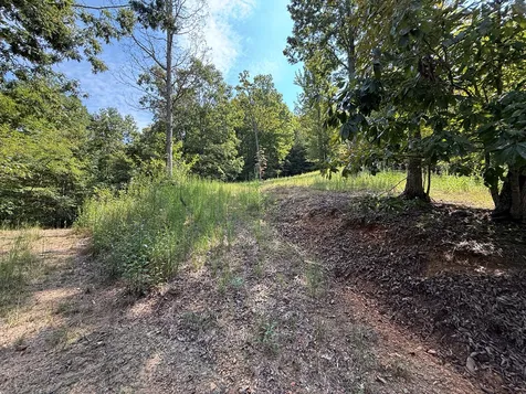 0 Madison Lane Brasstown NC 28902