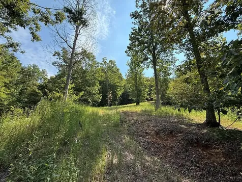 0 Madison Lane Brasstown NC 28902