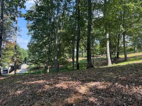0 Madison Lane Brasstown NC 28902
