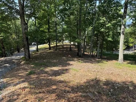 0 Madison Lane Brasstown NC 28902