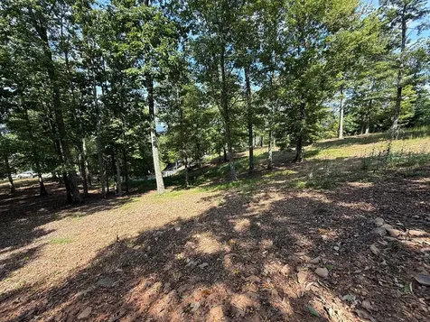 0 Madison Lane Brasstown NC 28902