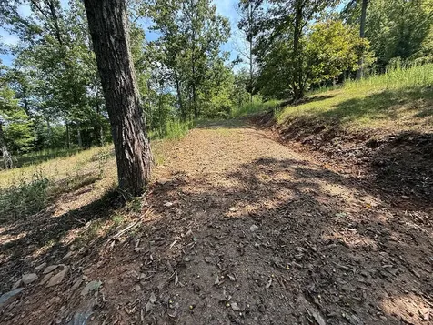 0 Madison Lane Brasstown NC 28902