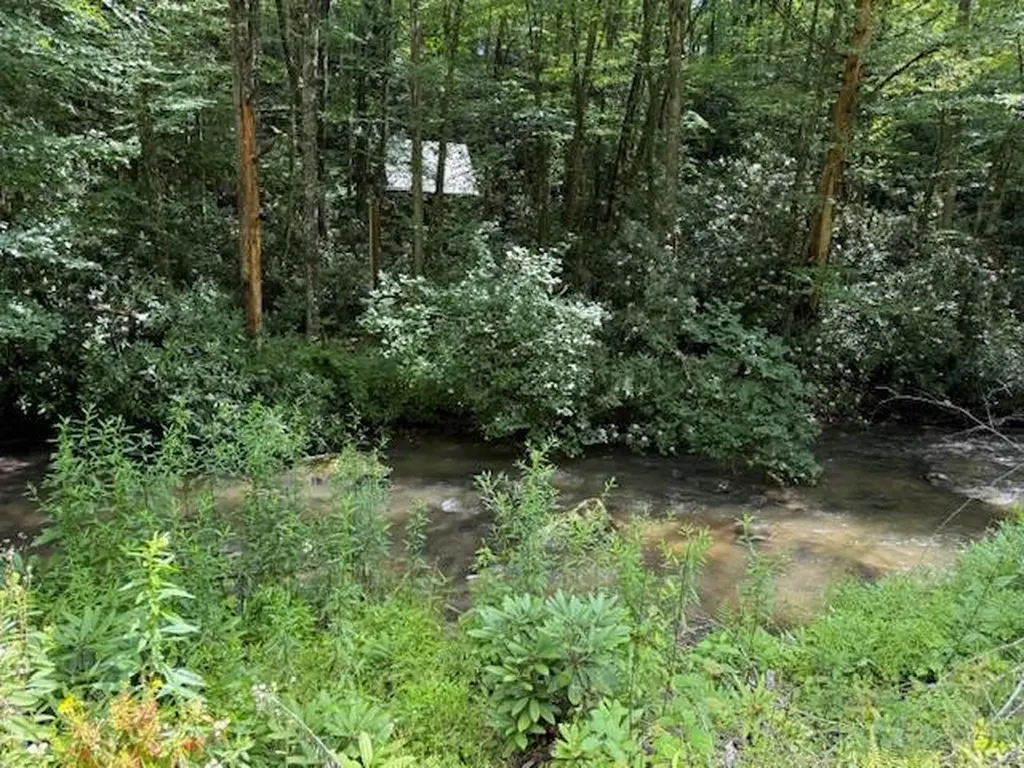 7656 Little Snowbird Road Robbinsville NC 28771