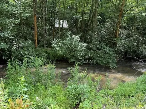7656 Little Snowbird Road Robbinsville NC 28771
