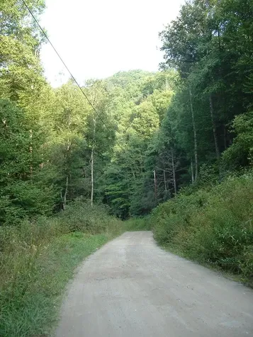 7656 Little Snowbird Road Robbinsville NC 28771