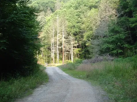 7656 Little Snowbird Road Robbinsville NC 28771