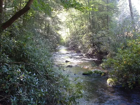 7656 Little Snowbird Road Robbinsville NC 28771