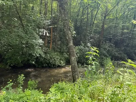 7656 Little Snowbird Road Robbinsville NC 28771