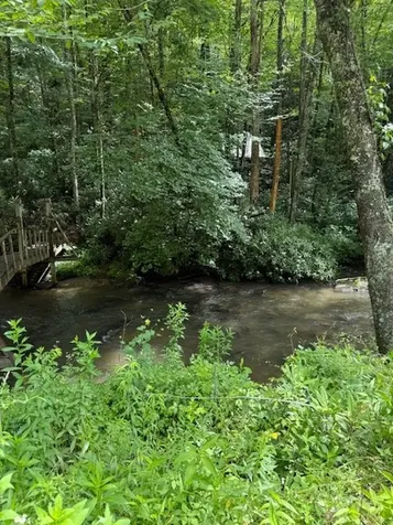 7656 Little Snowbird Road Robbinsville NC 28771
