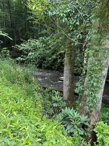 7656 Little Snowbird Road Robbinsville NC 28771