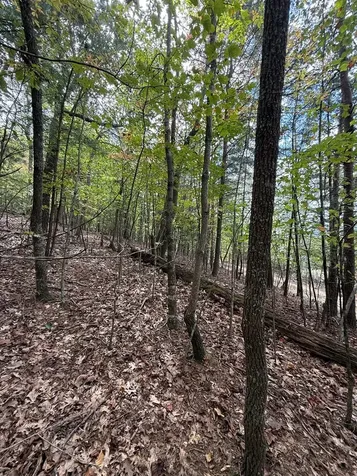 Lot 15 Timber Lane Estates Murphy NC 28906