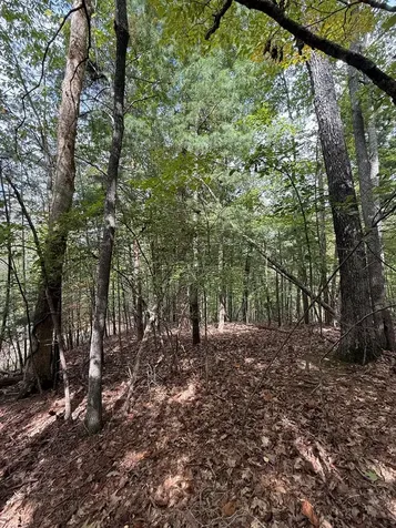 Lot 15 Timber Lane Estates Murphy NC 28906