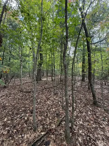 Lot 15 Timber Lane Estates Murphy NC 28906