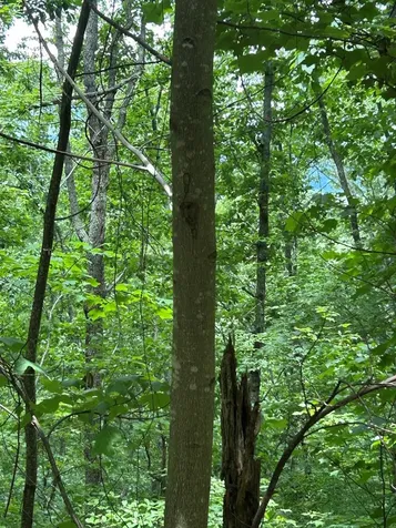 0 Ten Pointe Trail Murphy NC 28906