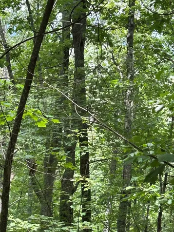0 Ten Pointe Trail Murphy NC 28906