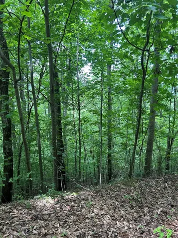 0 Ten Pointe Trail Murphy NC 28906