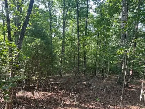 Lot 208 Boulder Creek Road Murphy NC 28906