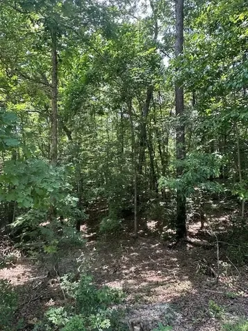 Lot 208 Boulder Creek Road Murphy NC 28906