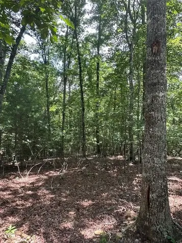 Lot 208 Boulder Creek Road Murphy NC 28906