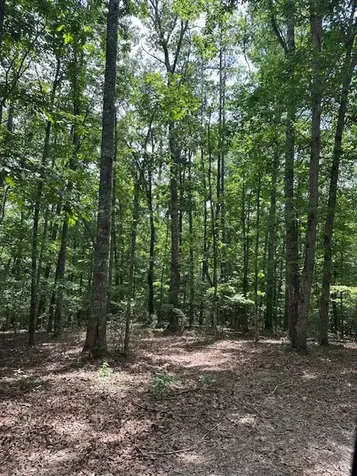 Lot 208 Boulder Creek Road Murphy NC 28906