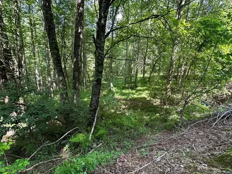 00 Choctaw Ridge Trail Murphy NC 28906