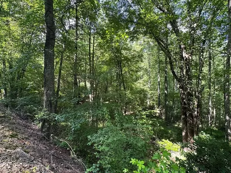 00 Choctaw Ridge Trail Murphy NC 28906