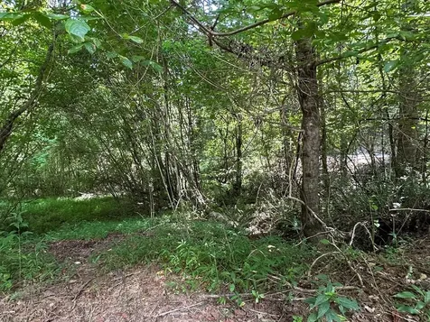 00 Choctaw Ridge Trail Murphy NC 28906