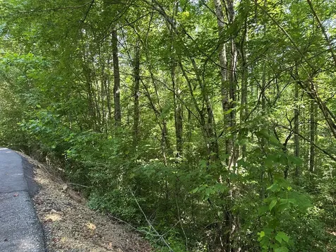 00 Choctaw Ridge Trail Murphy NC 28906
