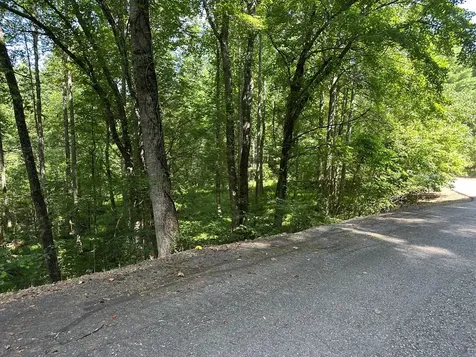 00 Choctaw Ridge Trail Murphy NC 28906